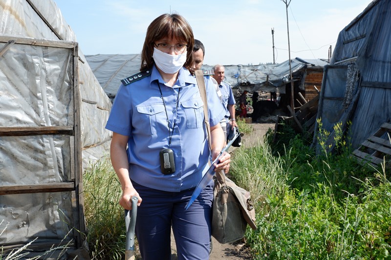 Сельхозпредприятие в Хомутово оштрафовано за использование пестицидов