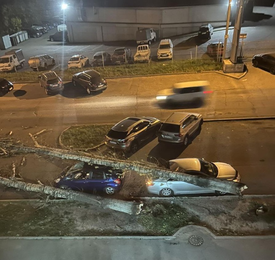 Поваленные деревья и поврежденные автомобили: последствия непогоды в Иркутске
