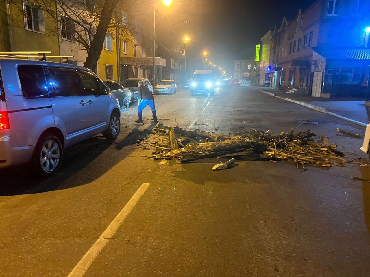 Поваленные деревья и поврежденные автомобили: последствия непогоды в Иркутске