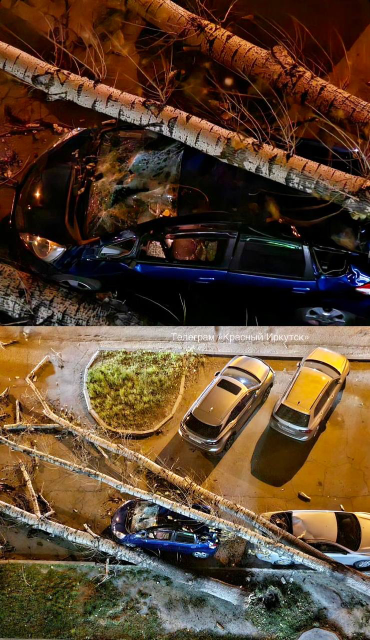 Поваленные деревья и поврежденные автомобили: последствия непогоды в Иркутске