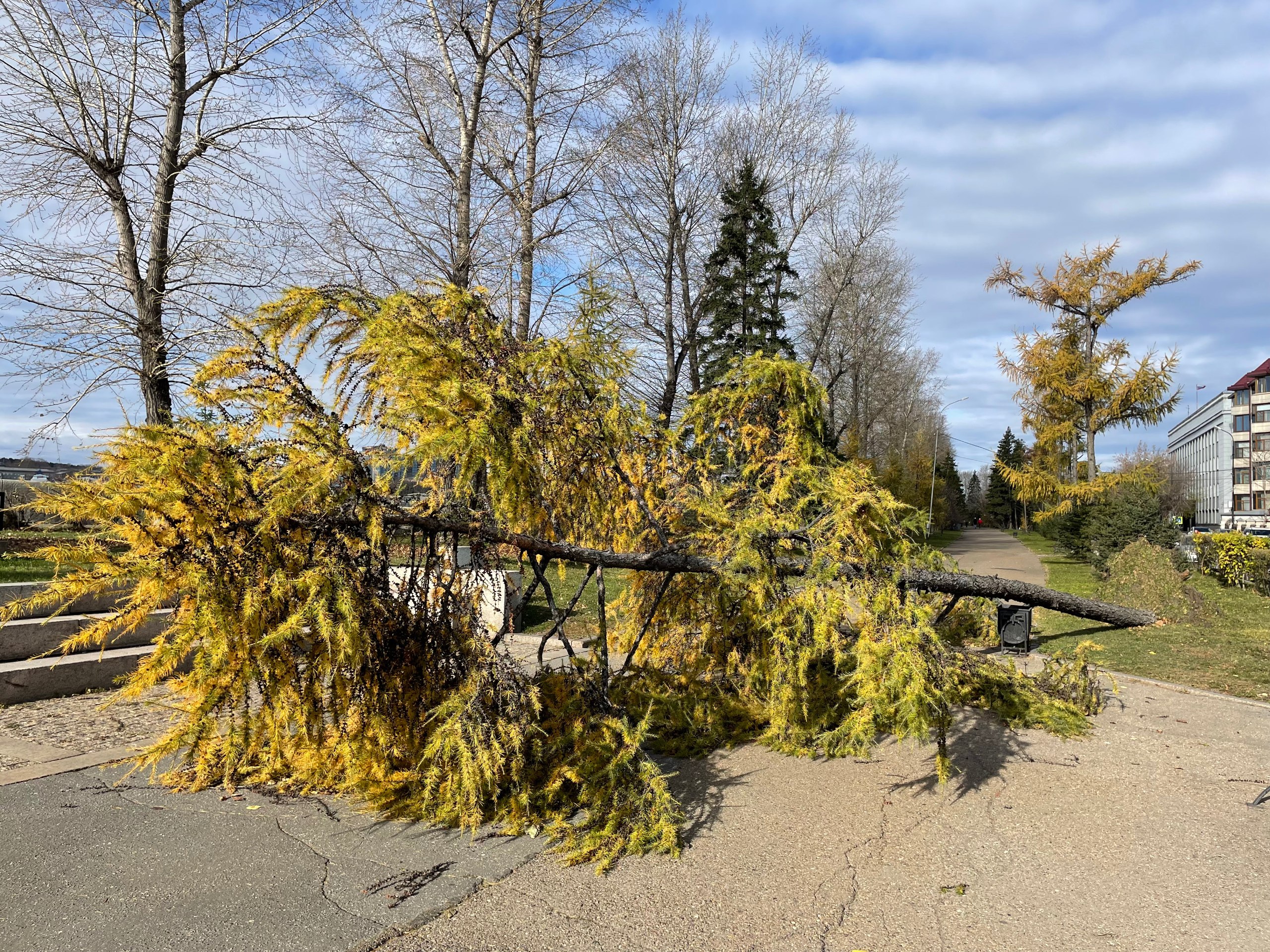 В Иркутской области из-за ветра под отключение энергии попали более 16 тысяч домов
