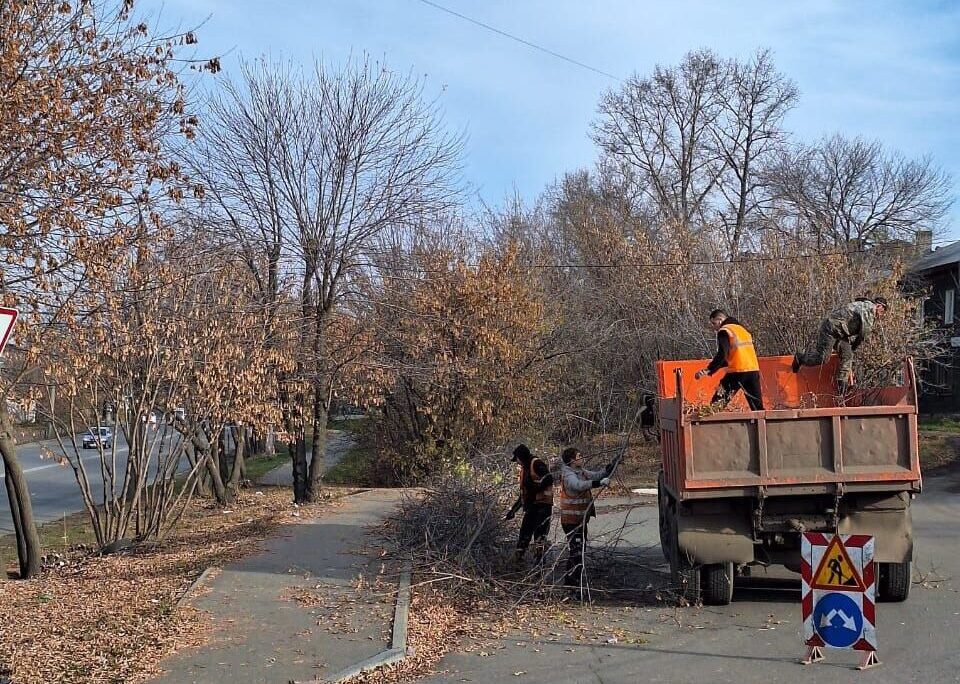 Санитарную обрезку 1500 деревьев проведут в Иркутске