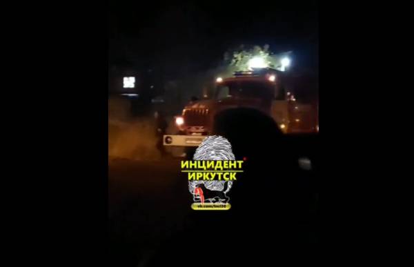 Пожарные, Росгвардия и скорая приехали из-за упавшей в трансформатор кошки в Ангарске