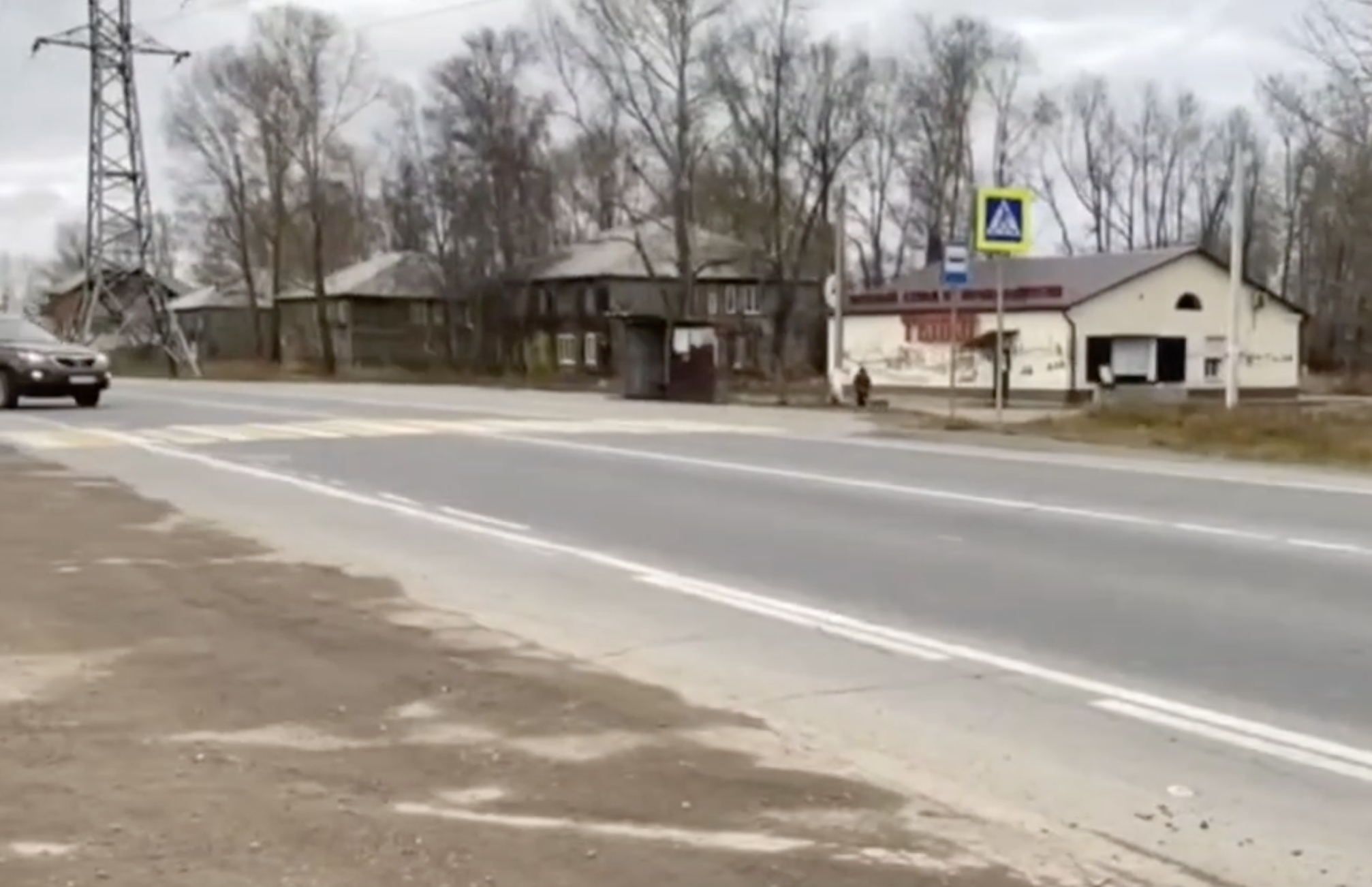 Водитель насмерть сбил пенсионерку на «зебре» в Усолье-Сибирском