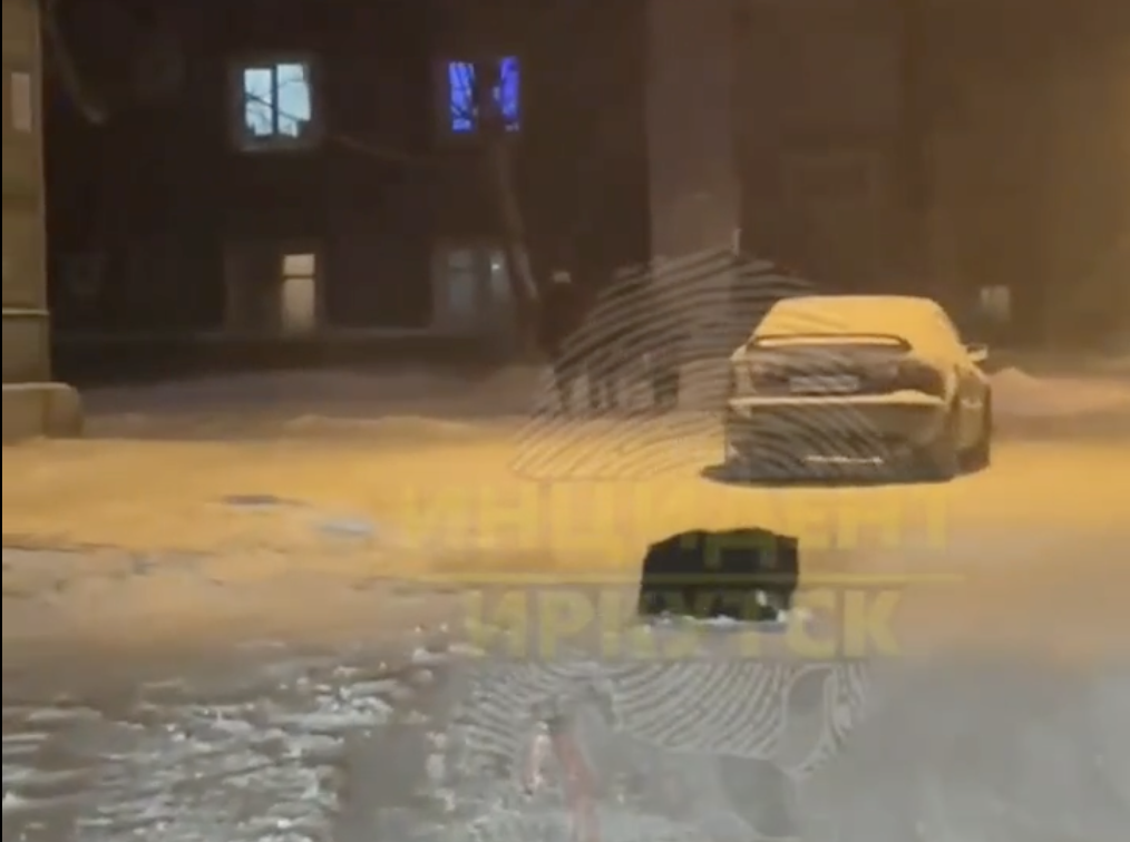 В Иркутске-II, вероятно, попала на видео собака, а не медведь