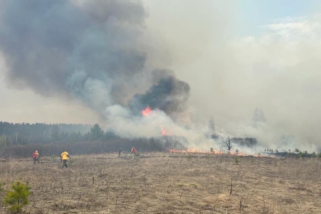 21 возгорание ликвидировано в лесном фонде Иркутской области за выходные