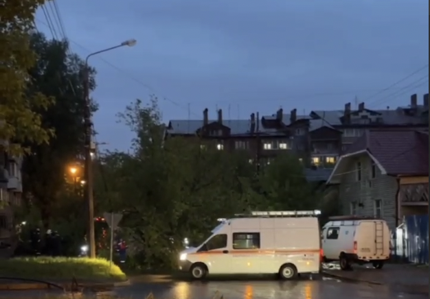 «Крупное дерево рухнуло на пересечении Касьянова и Пушкина»