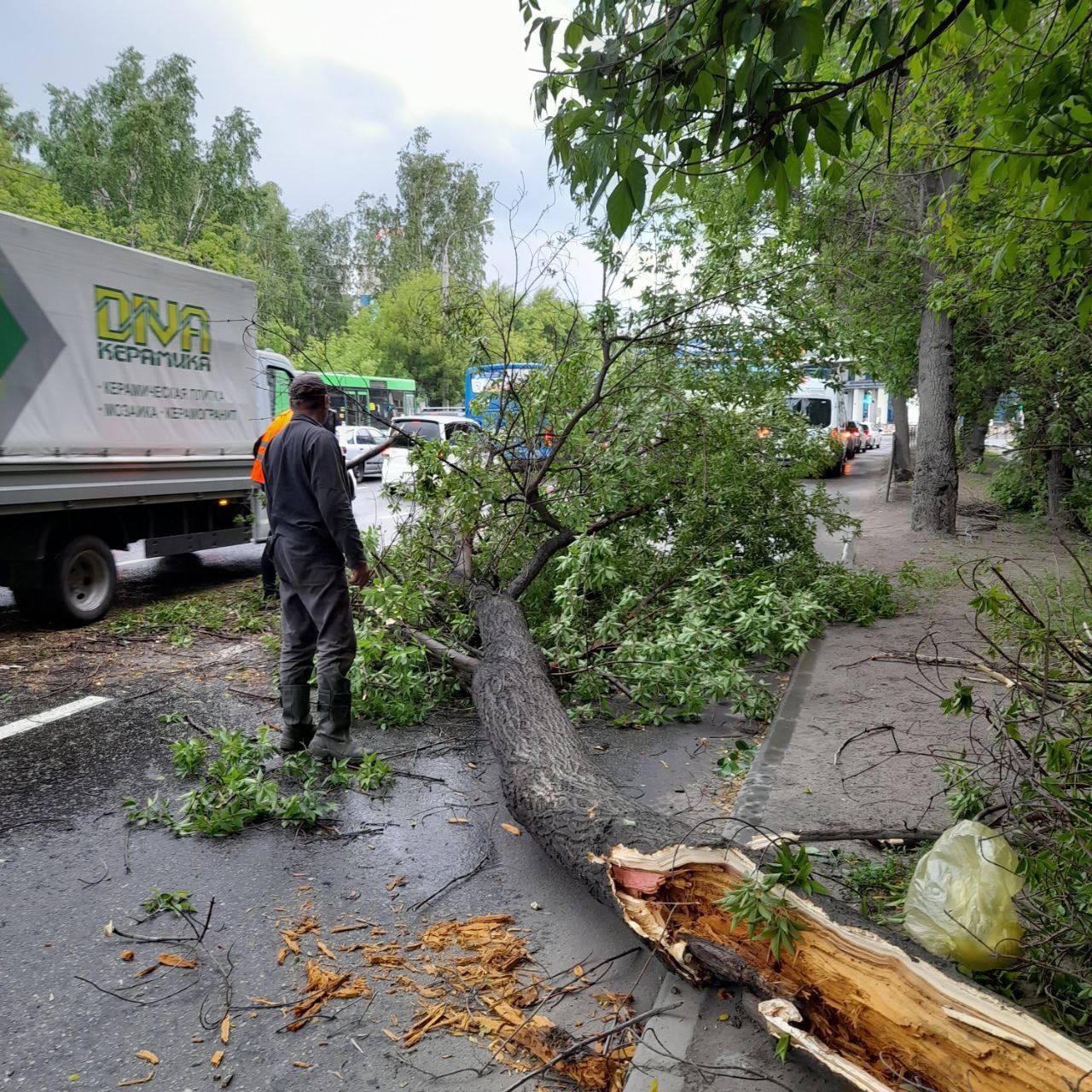 В Иркутске на некоторых улицах ветром повалило деревья