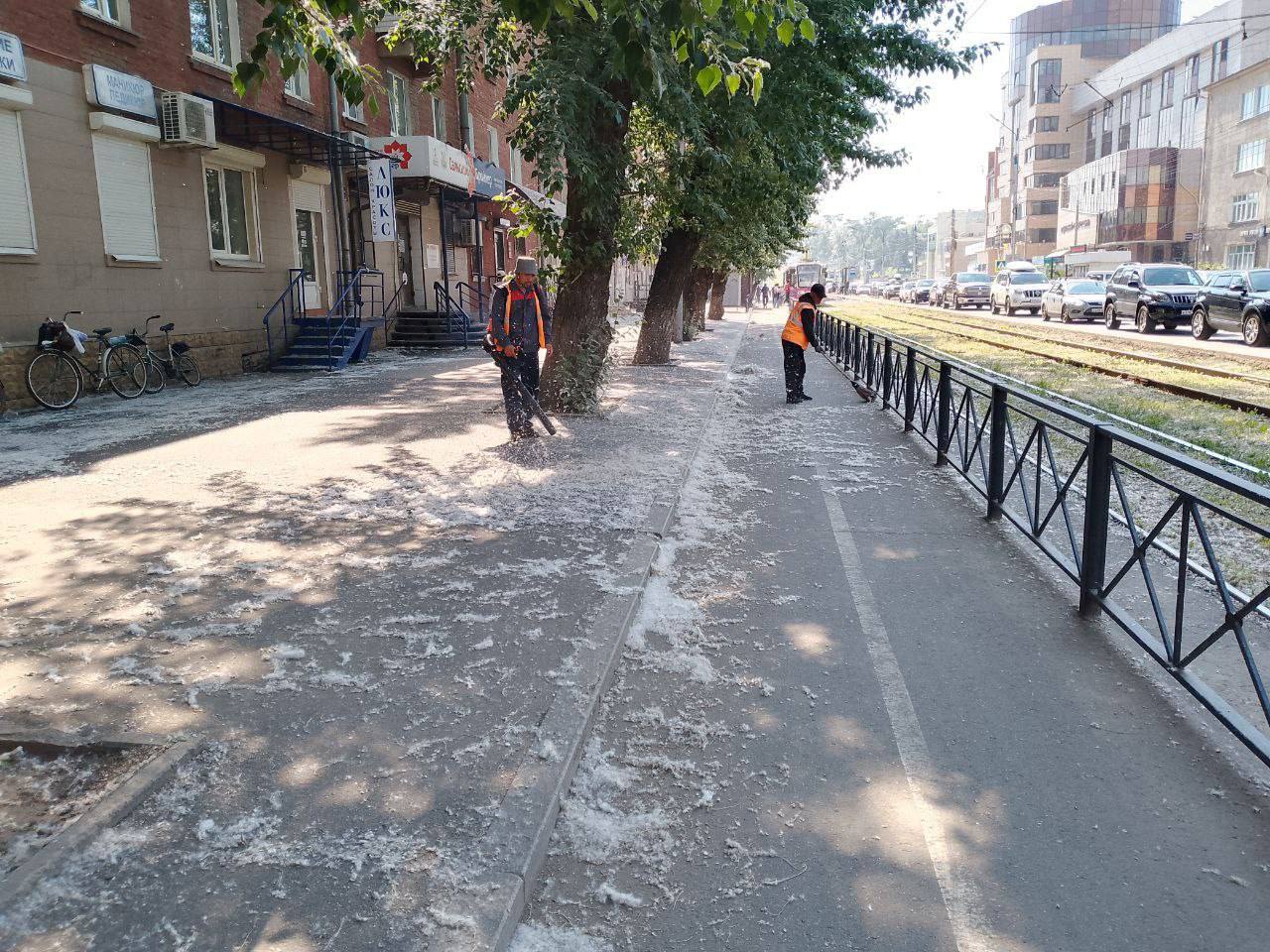 Круглосуточную очистку от тополиного пуха начали в Иркутске