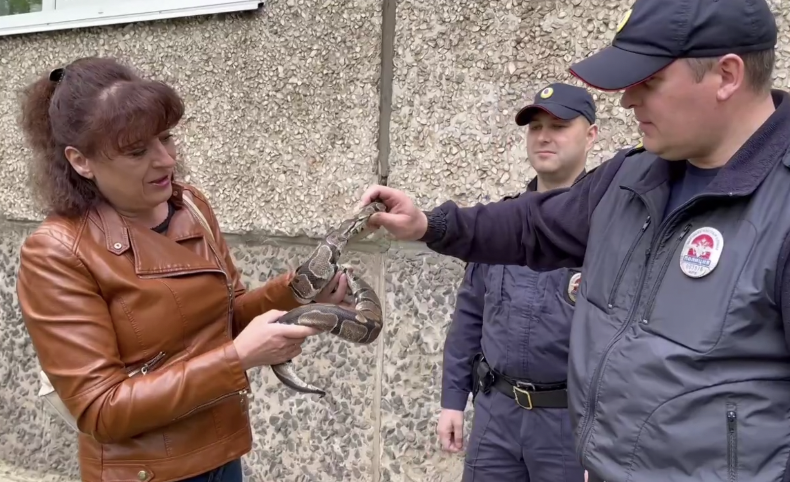 Змею по кличке Питона спасли полицейские в Братске