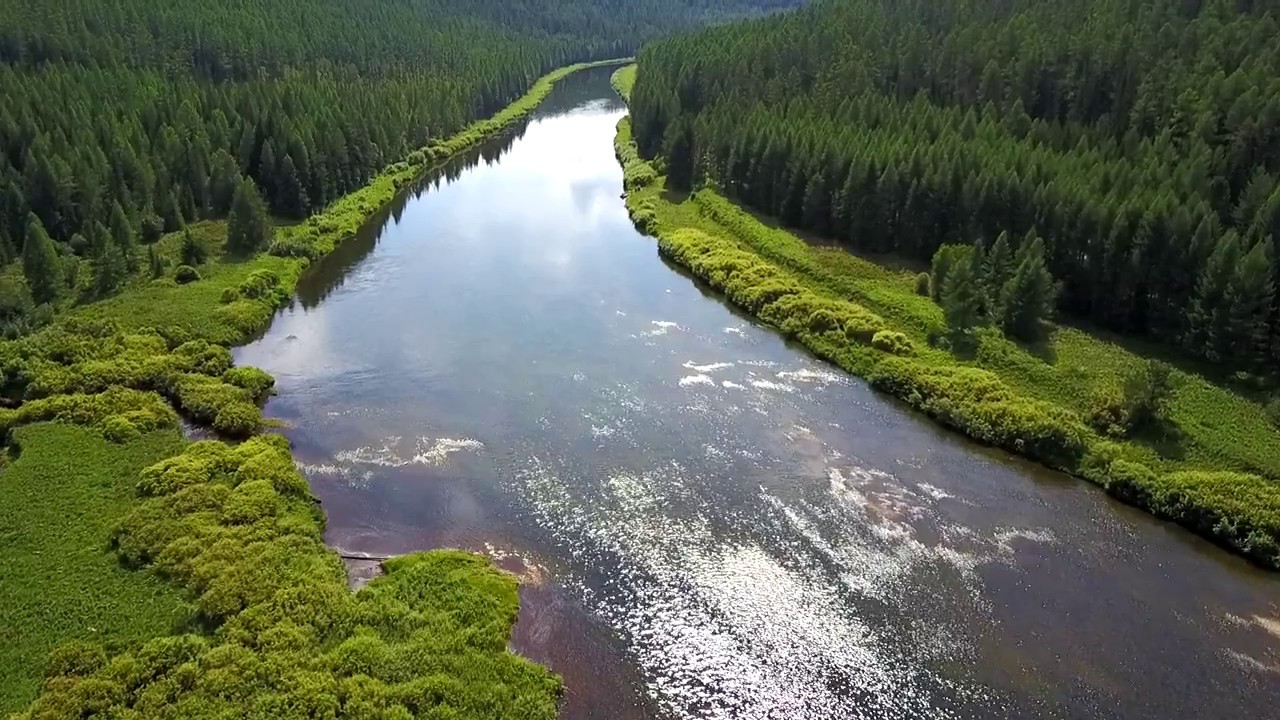 Мужчина спас пьяную девушку, тонувшую на реке Илим