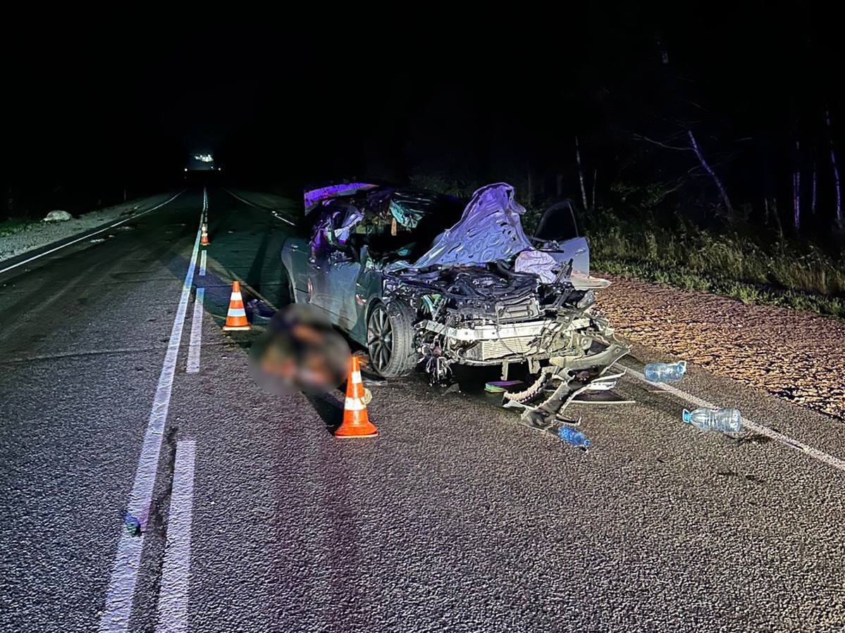 Mercedes въехал в табун лошадей в Аларском районе
