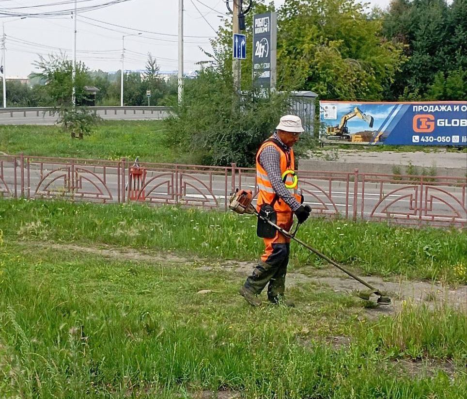 Во всех районах Иркутска ведут покос травы
