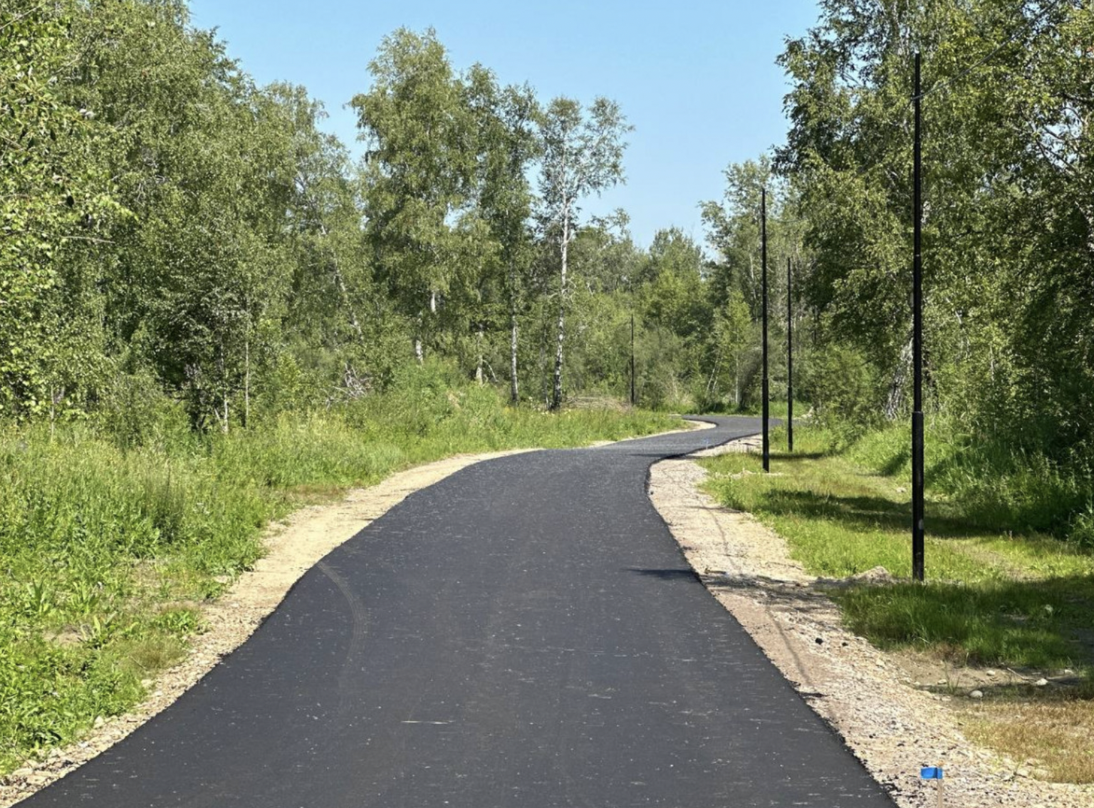 Лыжероллерную трассу строят в Ангарске