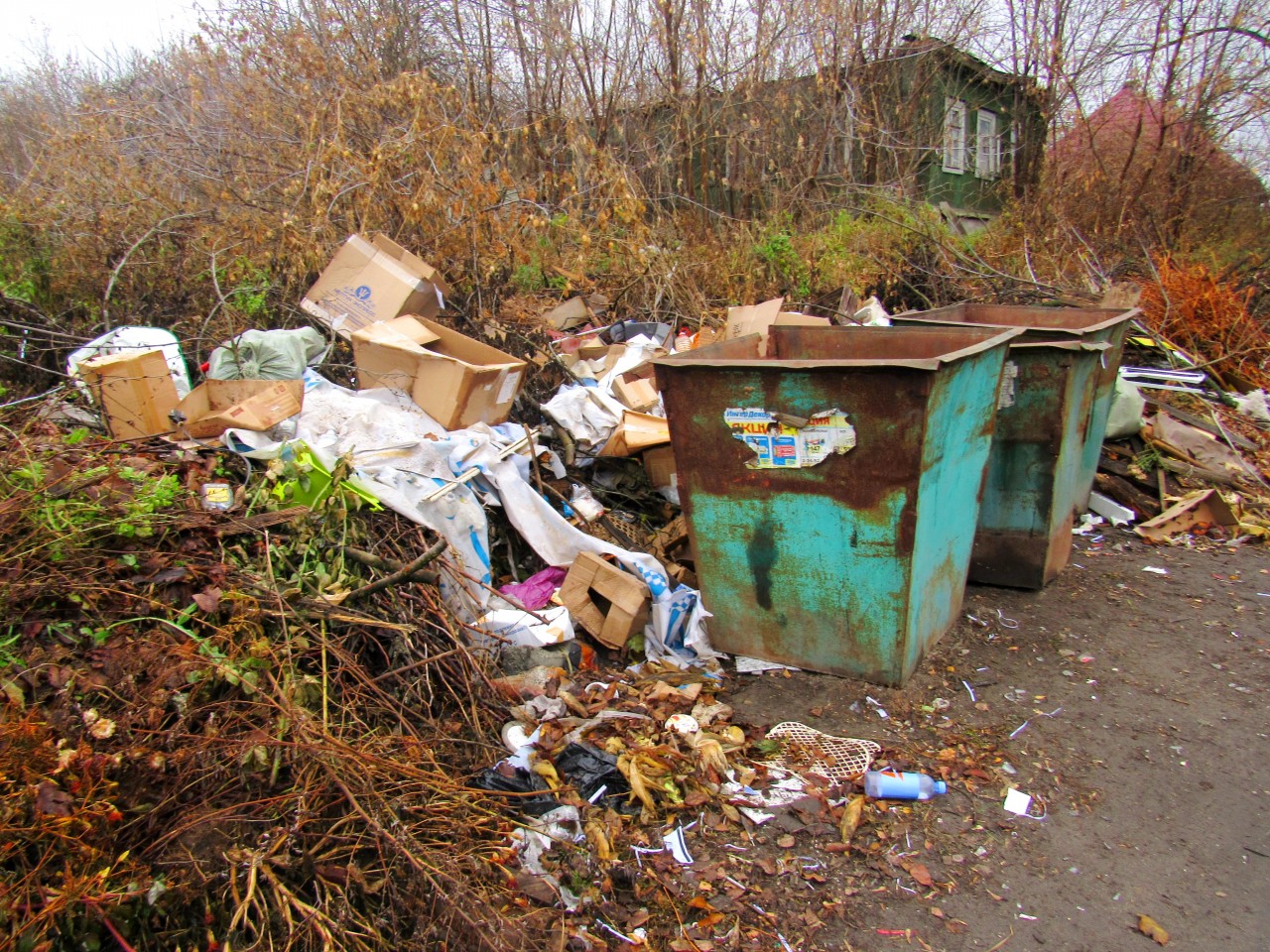 Более 1800 несанкционированных свалок ликвидировали в Иркутске