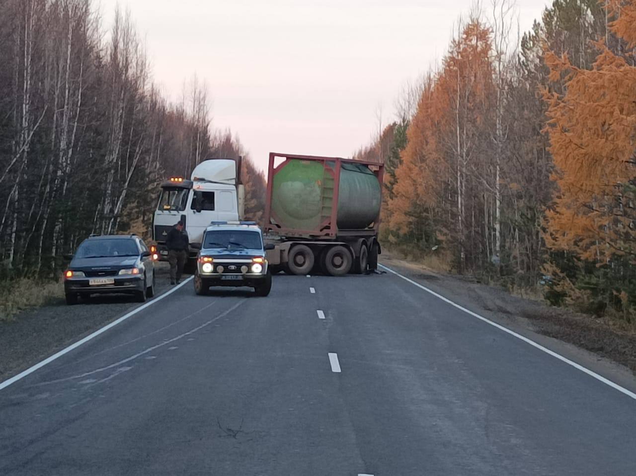 Массовое ДТП из-за медведя, вышедшего на трассу, случилось на Братском шоссе
