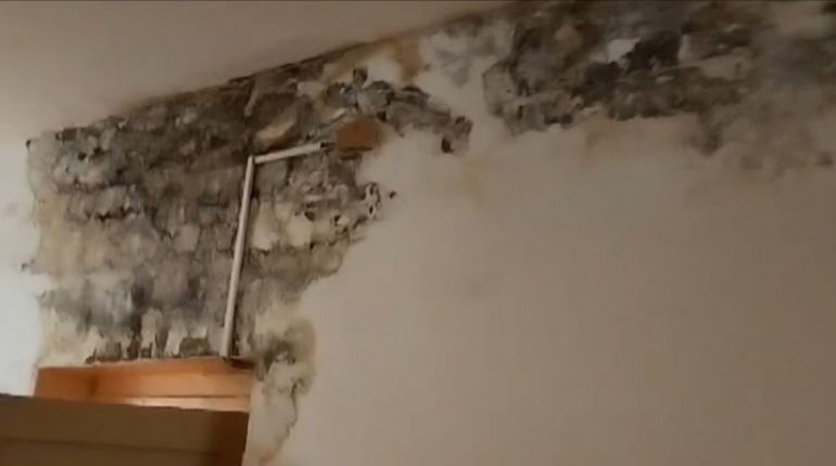 В Новой Игирме здание школы покрывается плесенью