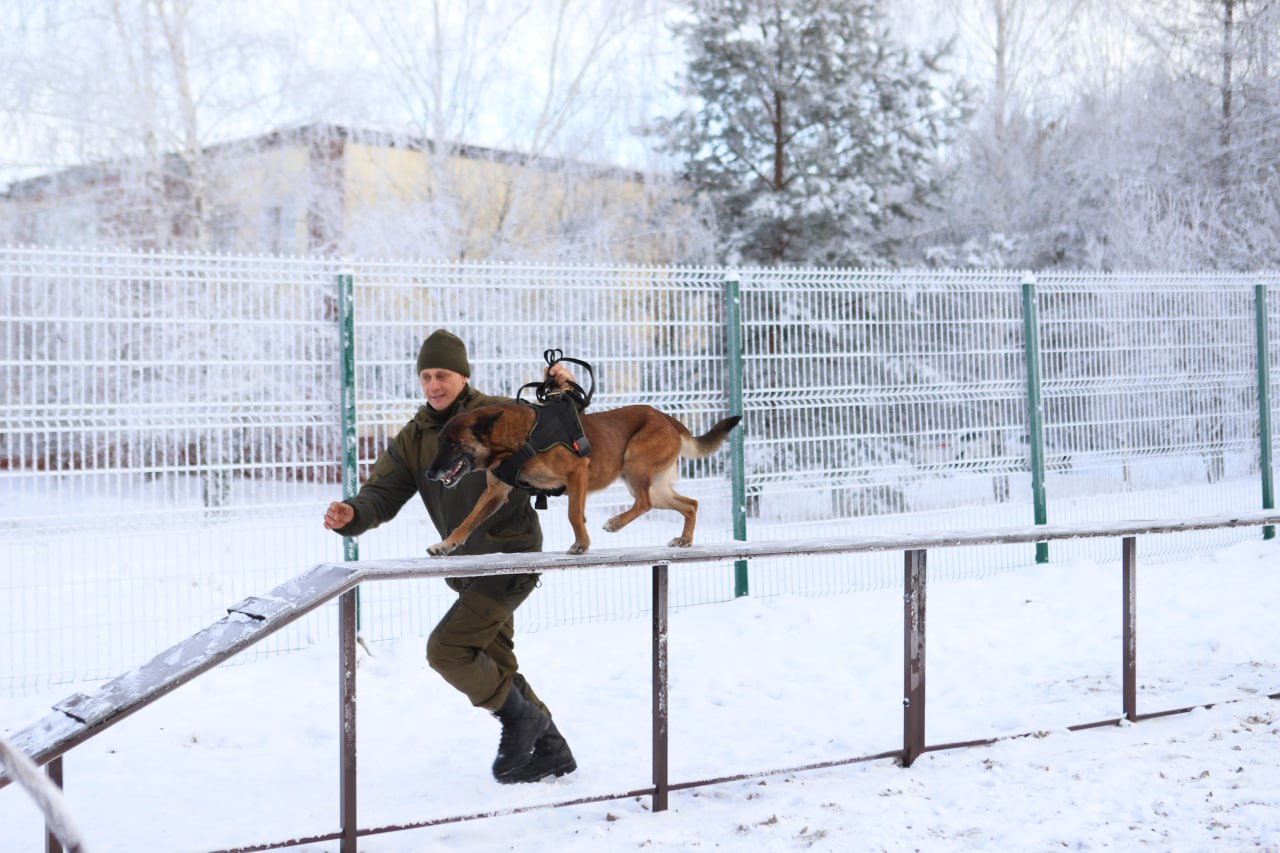 Площадка для прогулок и дрессировки собак появилась в м-не Зеленый