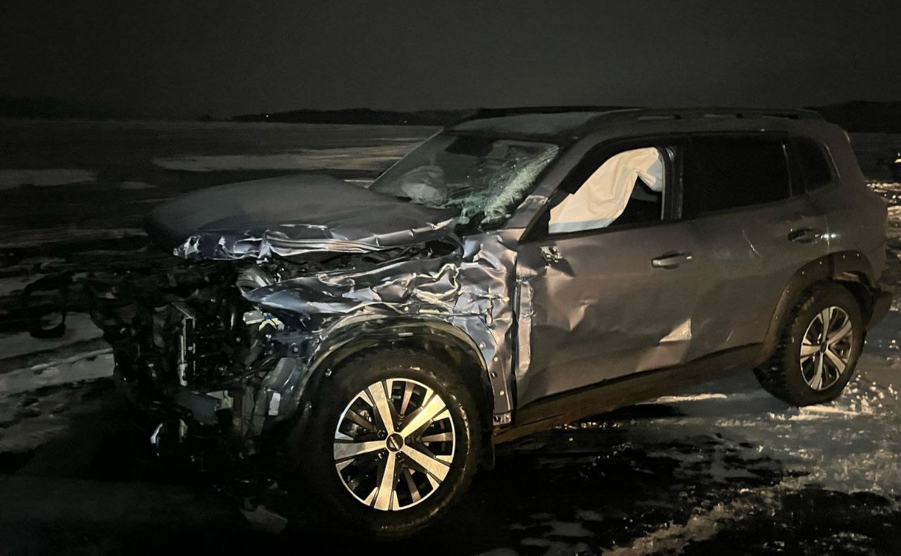 На Байкале столкнулись хивус и автомобиль