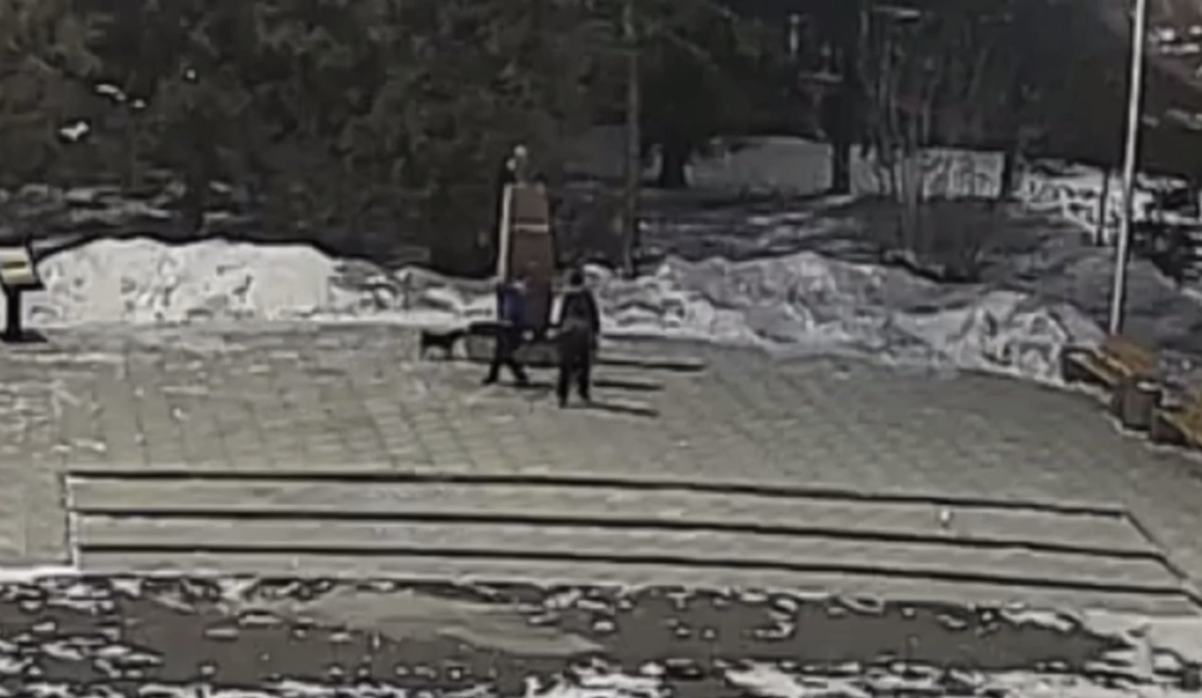 Дети разбили мраморных голубей на памятнике Гуркину в Черемхово