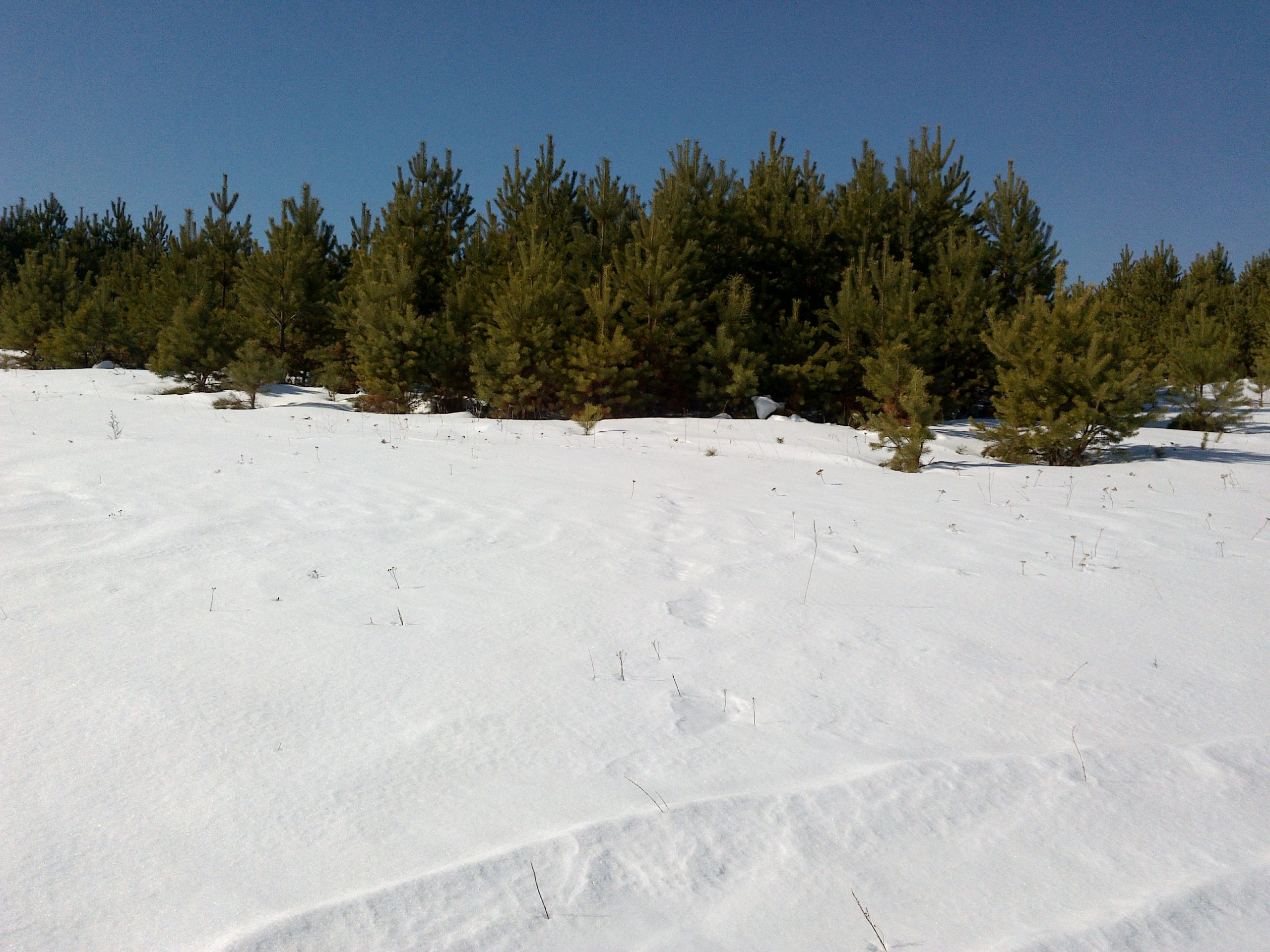 В Иркутском районе у собственников изъяли три земельных участка, так как они не использовались