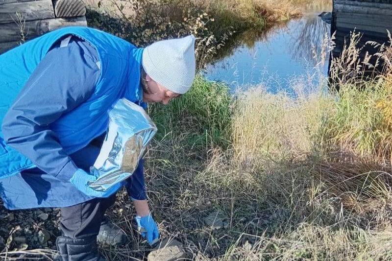 Съедобную вакцину от бешенства раскладывают в местах обитания диких животных в Иркутской области