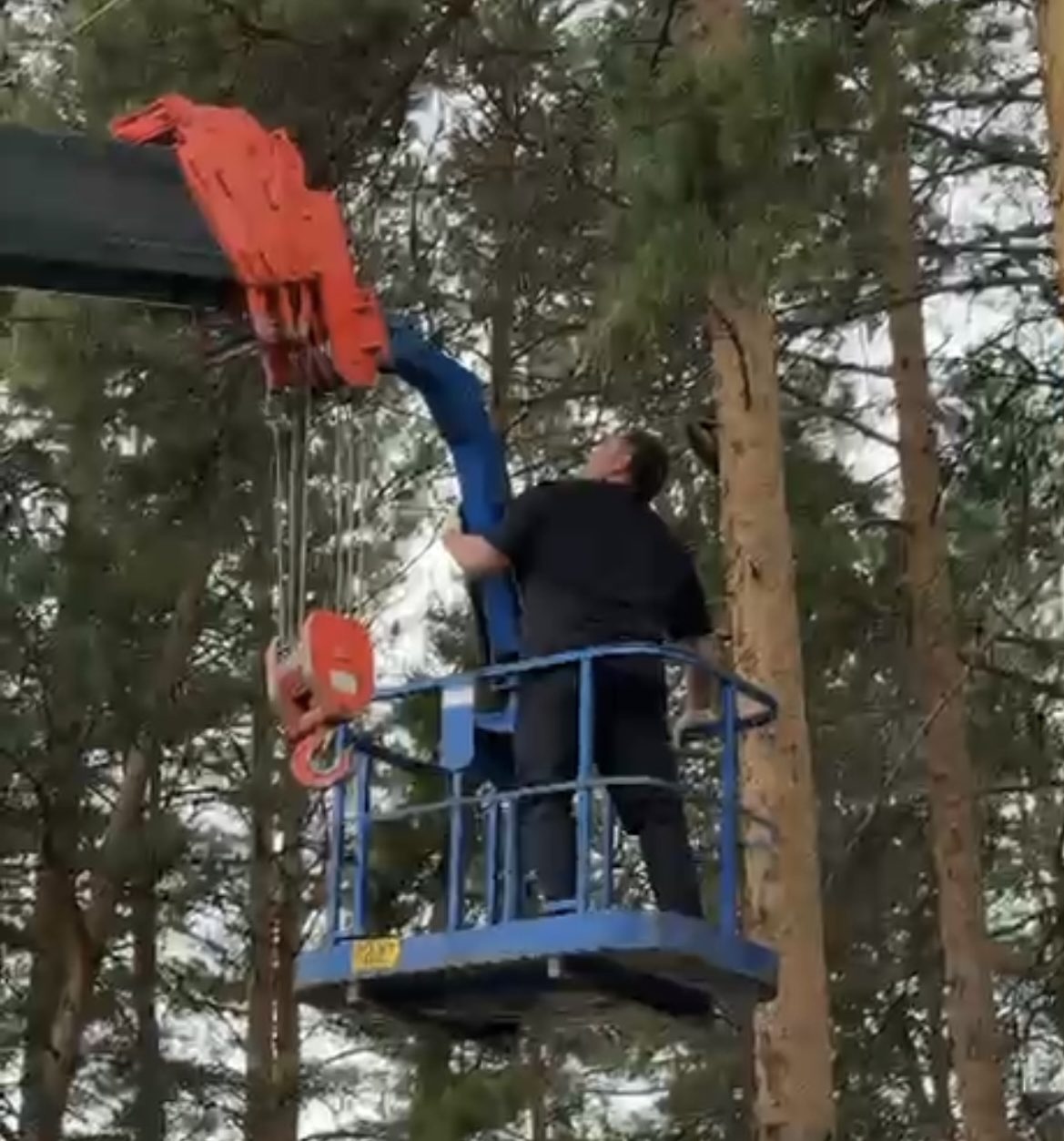 Мэр Чунского района спас кота