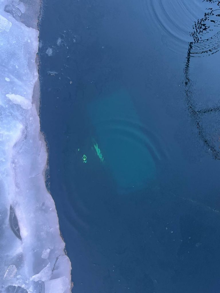 Изображение JPEG-4D29-9A92-88-1