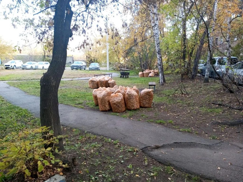 Большой субботник прошел в Иркутске (фоторепортаж)